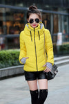 Solid slim hooded jacket