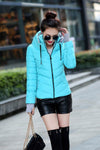 Solid slim hooded jacket